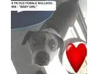 Armed Security Gaurd