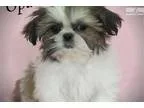 Heavenly Paw Spa in Denham Springs