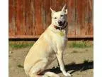 23572 USED 2007 R-Vision D291