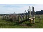 CATTLE YARDS - Heavy Duty - Semi portable. MAKE AN OFFER