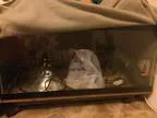 Reptile Cage