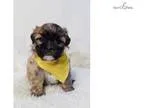 Boots..Cute Cute..Watch My Cute Video