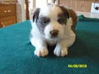Sale Pending
