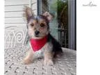 Benjamin..Adorable.. Watch My VIDEO