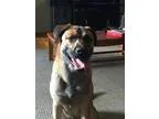 moving sale...8232017 (dwn twn L.A)