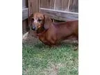 Pressure Washer Pump (Vancouver) 100