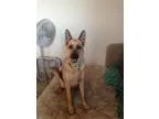 Supermax Healthcare Inc