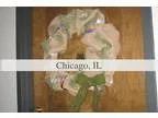 Foreclosure Agricultural (Farm or Ranch) for sale in Chicago IL