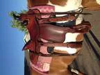 17 &quot circle M roper trail saddle for sale