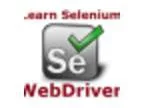Learn Java JUnit TestNg and Selenium WebDriver &acirc 6 Week Boo