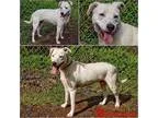 Rosemead Optometry