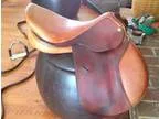 Beautiful Circuit Saddle
