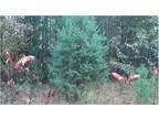 Wooded lot with access to Indian Lake