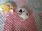 PeprMntPatty