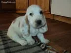 Sale Pending