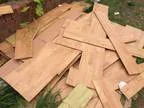 FREE floating floor panels