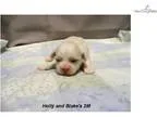 Holly and Blake 2M