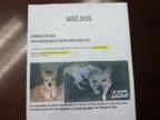 Lost Dog - quotMOE quot