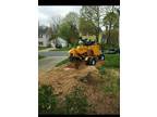 Stump Grinding Services (Charlotte)