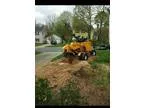 Stump Grinding Services (Charlotte)