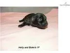Holly and Blake 1F