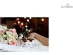 WWW.Teacuppupiesstor e.Com Yorkie
