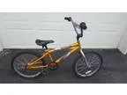 20&quot bike (Greenwood)