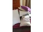 Bulk lot of physio pillows