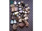 Rock Collection (S. Everett)