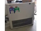 Rinnai Avenger 25Plus