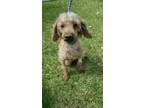 Macy s Mayfair, Wauwatosa, WI: Merchandise Team Manager