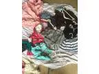 Large lot Girl s sizes 5-7 clothing (Bloomington)