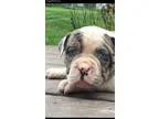 Sale Pending