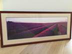Framed artwork