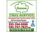 Ganoe Tree Service