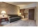 Spacious studio apartment with open floor plan (Battle Creek) 47