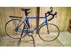 2009 Gunnar Sport 58cm (Humboldt)