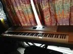 Yamaha YPG-625 w Gator Case