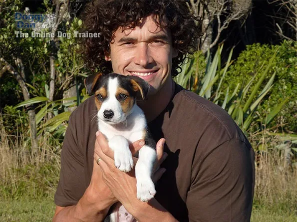 Online Dog Training Services 1.00 To Get Started