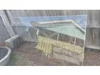 Glass 214 x 100 x 5mm  thick