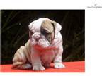 2002 Georgie Boy Landau