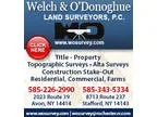Welch and O Donoghue