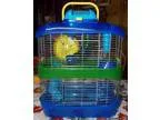 Dwarf Hamster Cage and Accessories