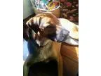 BUSY DELI NEEDS EXP. CLERK