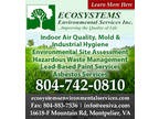EcoSystems Environmental Services Inc
