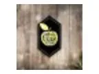Toronto Cider Festival