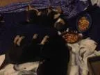 Aussie Shepard Pups (Valencia and Midvale)