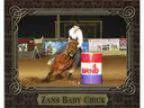 RFD tv Million Dollar American Rodeo Qualifier Zans Baby Chick
