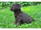 professional cleaning service home and office