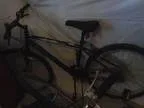 2 Mountain Bikes (Central)
